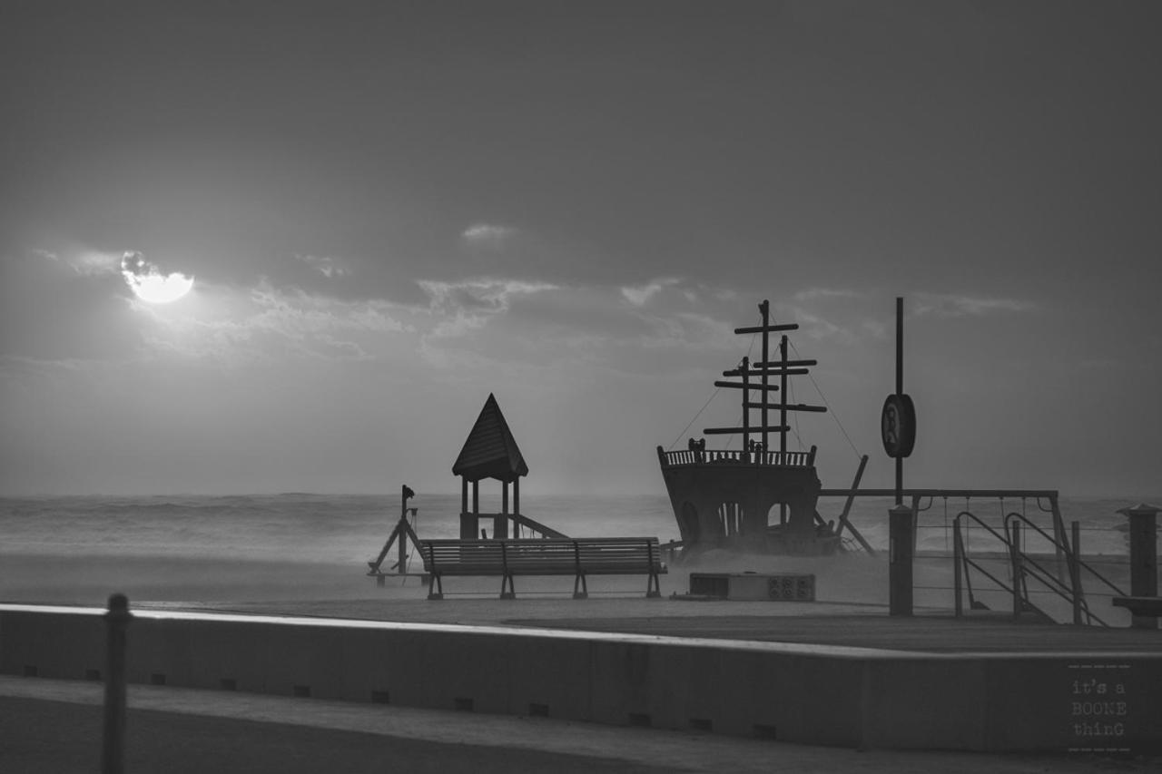 Knappe Studio Met Subliem Zeezicht! Oostende Bagian luar foto