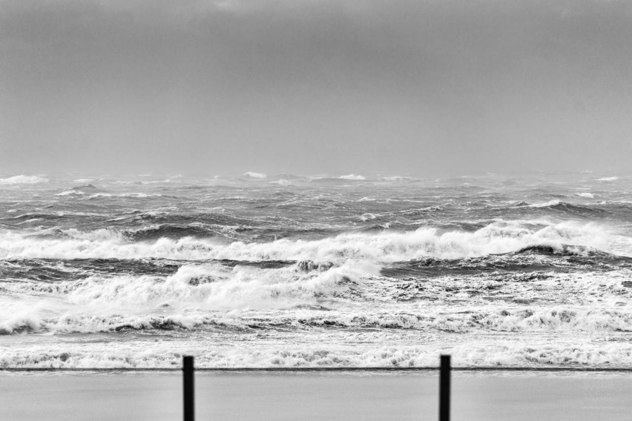 Knappe Studio Met Subliem Zeezicht! Oostende Bagian luar foto